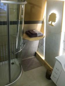BřezniceOak apartment的带淋浴、卫生间和盥洗盆的浴室