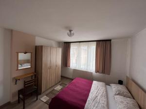 帕莱SKI KUCA PALE的一间卧室配有一张床、一张书桌和一个窗户。