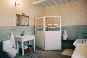 库尔迪加Kalnciema kvartāla Kuldīgas rezidence的一间带卫生间、水槽和镜子的浴室