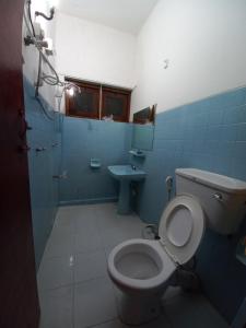 康提Lazy Bear Best Hostel in Kandy的一间带卫生间和水槽的浴室