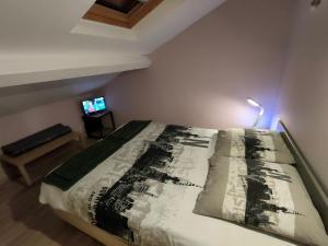 维希L'Escale VICHY的一间卧室配有一张带灯具的床和一台电视