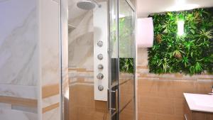 Villeneuve-sous-DammartinSAUNA Appartement 10mn Aeroport Roissy CDG的墙上植物浴室内的淋浴