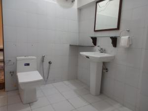 比卡内尔Sankhu Niwas的一间带卫生间、水槽和镜子的浴室