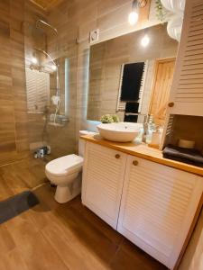 Pewel WielkaChata z Kraja的浴室配有卫生间、盥洗盆和淋浴。