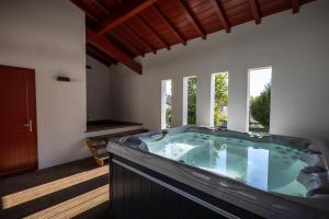 阿斯帕朗Maison Irriberria的带窗户的客房内的热水浴池