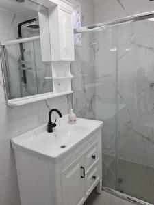 埃拉特בוילה היפה של יהודית的白色的浴室设有水槽和淋浴。