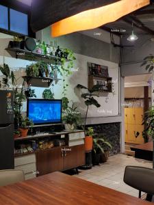 玛琅SEMERU HOSTEL MALANG的一间配有电视的客房,墙上挂着植物