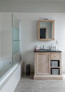 AssenedeB&B meetje verre的一间带水槽和镜子的浴室
