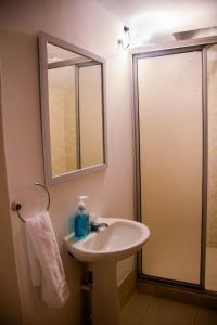 佩雷拉Coliving La Rebeca Pereira的浴室配有盥洗盆和带镜子的淋浴