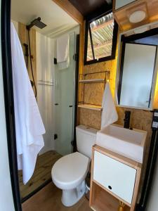 坎波斯杜若尔当Toca do Pica-Pau - Tiny House em Campos com Lareira e privacidade!的一间带卫生间、水槽和镜子的浴室