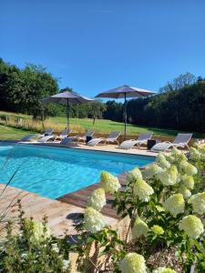 斯图蒙Le Clos du Cerf - Silence & nature的一个带躺椅和遮阳伞的游泳池
