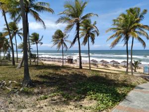 因巴塞Vila dos Lírios -Tranquilidade e Natureza的棕榈树海滩和海洋