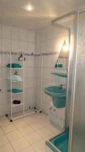 腓特烈罗达Ferienwohnung Walter - Friedrichroda的一间带绿色水槽和淋浴的浴室
