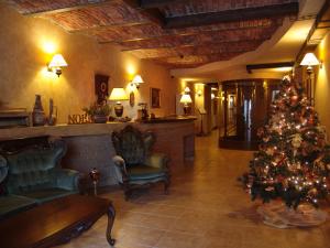 布拉索夫贝拉穆兹卡酒店的大堂内带圣诞树的客厅