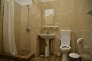 加拉茨Casa Stefan Galati的一间带卫生间和水槽的浴室