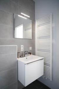 布鲁塞尔The Erasmus Flats的浴室设有白色水槽和镜子
