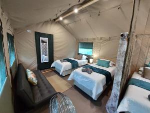 内尔斯普雷特Rockview Lodge的一间设有两张床的房间和一个位于帐篷内的沙发