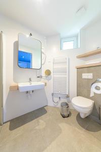 考普堡Jam Panzió的一间带卫生间、水槽和镜子的浴室