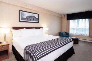 里贾纳桑德曼酒店及套房－里贾纳的酒店客房带一张大床和一把椅子