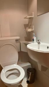 伦敦布鲁姆斯伯里格雷西姆酒店的浴室配有白色卫生间和盥洗盆。