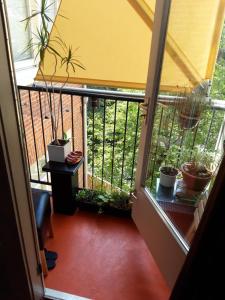 阿姆斯特丹Homey Budget Bedroom的享有种植了盆栽植物的阳台的景色