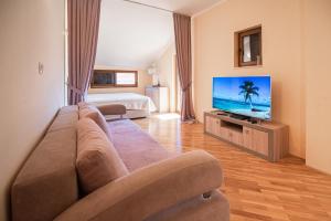 鲍希茨Boka Apartment的带沙发和平面电视的客厅