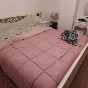 奥温多利L' incantevole Tana di Oto的一张大粉色床,坐在房间里
