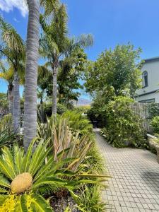 开普敦Constantiaberg Eco-Villa的种有棕榈树和步道的花园