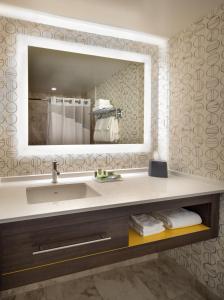 隆格伊蒙特利尔隆格伊假日酒店的一间带水槽和镜子的浴室