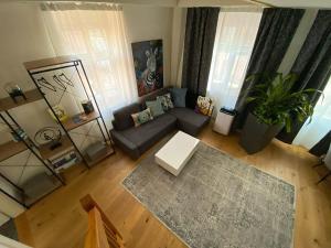 Stylish two-floor apartment in a heart of Basel的休息区