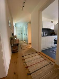 巴塞尔Stylish two-floor apartment in a heart of Basel的走廊上,地板上铺着地毯