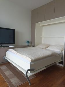 慕尼黑Apartment in München的一间卧室配有一张床和一台平面电视