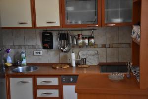 波德戈里察Apartment Music-center, in the center of Podgorica的厨房配有水槽和台面