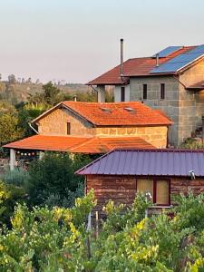 奥利维拉多霍斯比托昆塔科博拉尔度假屋的一群橙色屋顶的房子