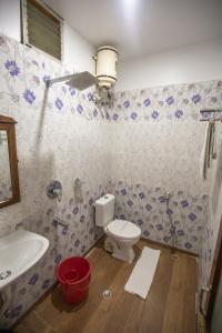 加尔各答塞西尔酒店的一间带卫生间和水槽的浴室
