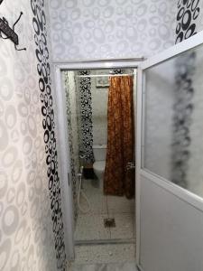 瓦迪穆萨Petra paradise home的一间带卫生间和淋浴帘的浴室