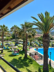罗达Elizabeth的享有棕榈树和游泳池的度假村景色。