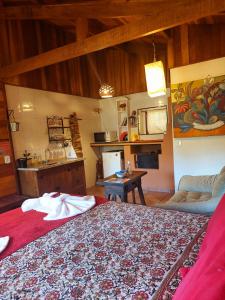 蒙特韦尔迪Pousada Anecuém的一间卧室配有一张红色地毯的大床