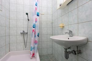 塞尔瑟Apartments and rooms with parking space Selce, Crikvenica - 2362的一间带水槽和淋浴帘的浴室