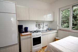 塞尔瑟Apartments and rooms with parking space Selce, Crikvenica - 2379的小厨房配有炉灶和水槽