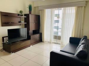 利马Spacious apartment in Miraflores的带沙发和平面电视的客厅