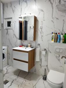 贝尔格莱德Palace Luxury Apartments The Heart of Belgrade的一间带水槽、卫生间和镜子的浴室