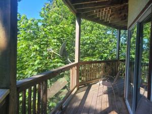 rainforest suite with a king size bed平面图