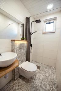 派尔努Centre Premium的一间带水槽、卫生间和淋浴的浴室