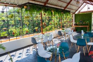 SauceFanda的一间设有桌椅的餐厅,种植了植物