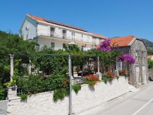 斯拉诺Apartments and rooms by the sea Slano, Dubrovnik - 2682的墙上有花草的房子