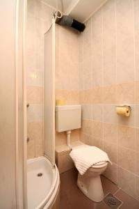 斯拉诺Apartment Slano 2682c的一间带卫生间和淋浴的小浴室