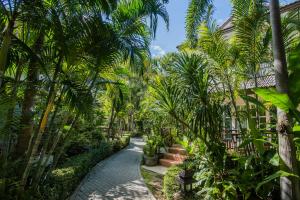 华欣华欣拉萨苏巴度假酒店的一条穿过棕榈树花园的小路