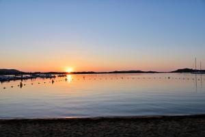维琪奥港CAMPING LES ILOTS D'OR的湖上日落,水中鸟