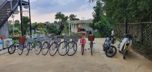 巴位MOMIZI INN的停在围栏旁边的一群自行车